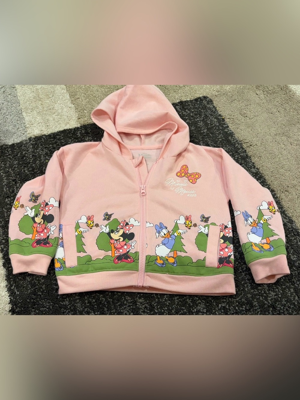 Disney Pink Minnie & Friends Hooded Zip-Up Sweatshirt - 5T